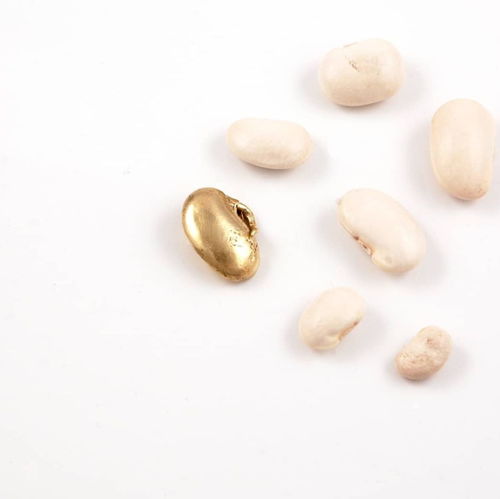 跨界藝術(shù)之旅 RCA珠寶創(chuàng)意思維暑期課程，釋放你的設(shè)計(jì)潛能